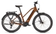 Kalkhoff Endeavour 5.B Advance+ 29 625 Wh Trapez E-Bike 2023 goldbrown glossy