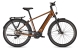 Kalkhoff Endeavour 5.B Advance+ 29 625 Wh E-Bike 2023 goldbrown glossy