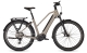 Kalkhoff Entice 5 Move+ 625 Wh Trapez Elektrofahrrad / Pedelec 2024 moonstonegrey matt