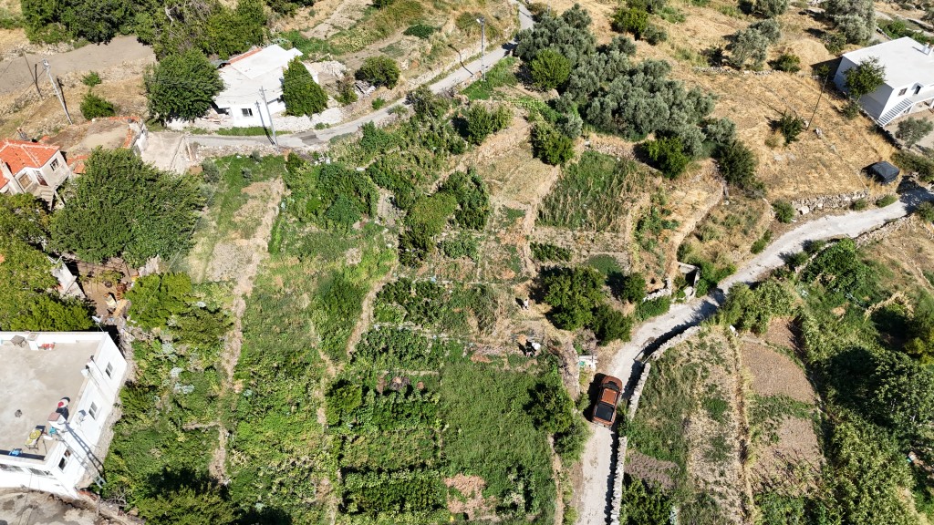 Yeni Başlayanlar İçin Arazi Alım Rehberi: İlk Adımda Başarı