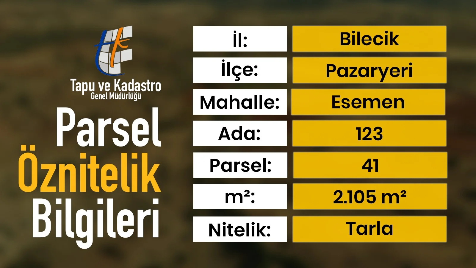 Bilecik Pazaryeri Esemen'de 2.105 m² Müstakil Tapulu Bölgenin Fırsat Arazisi
