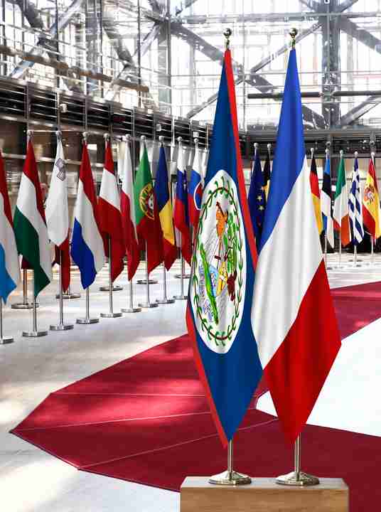 Belize France Flags