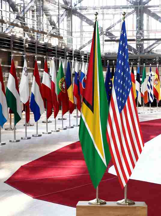 Guyana United States Flags