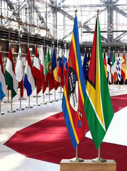 Eswatini Guyana Flags