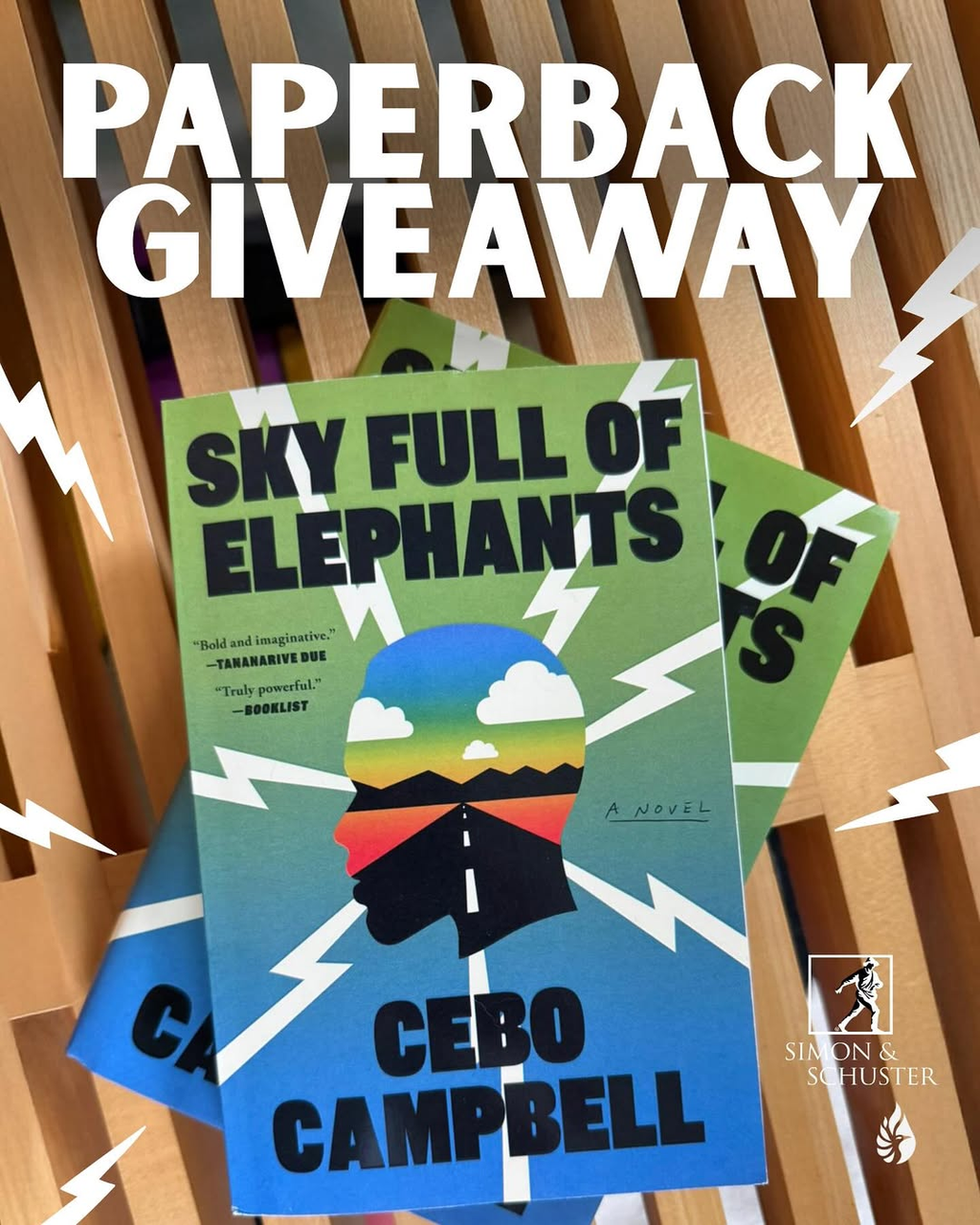 Want a free copy of SKY FULL OF ELEPHANTS?