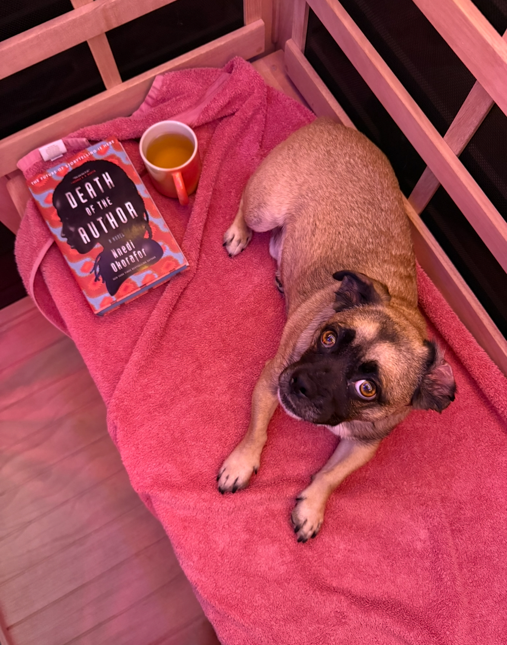Book club Zoom TODAY