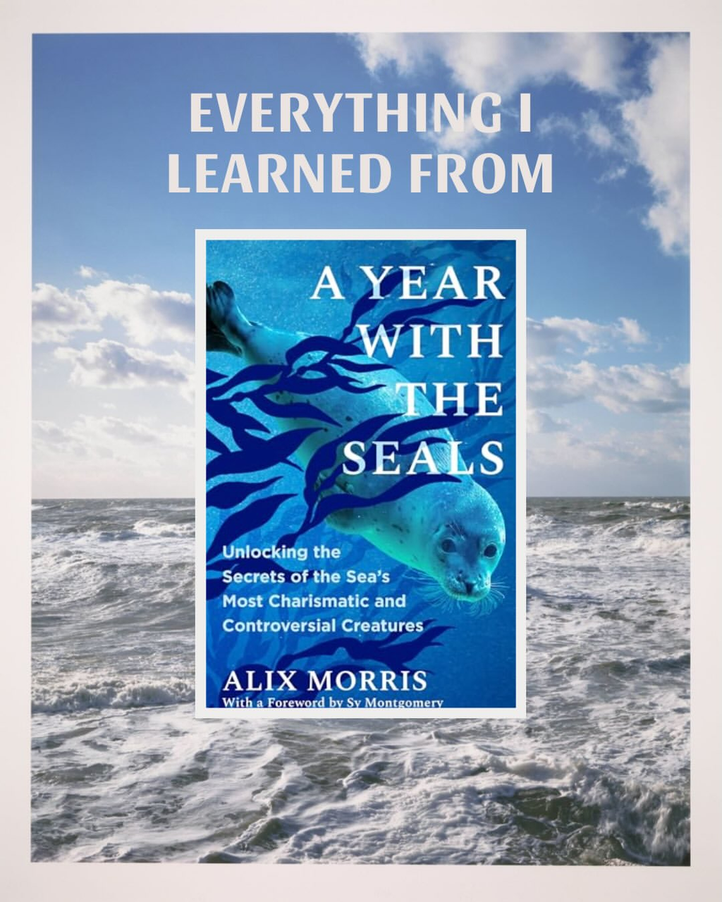 Everything I learned from "A Year with the Seals"