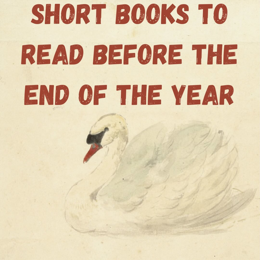Short books to read before the end of the year