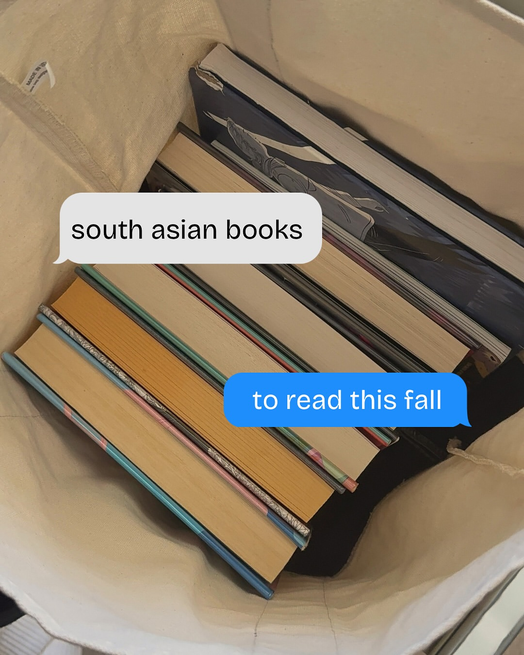 🍁 south asian books to read this fall 🍁