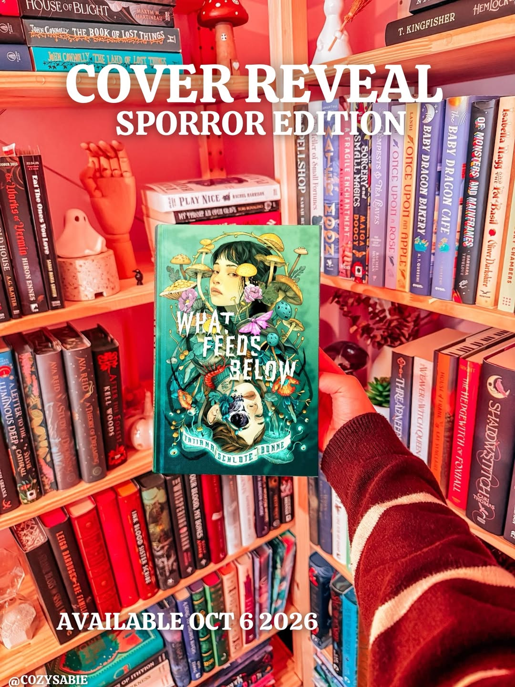 New Sporror Book coming in 2026?👀