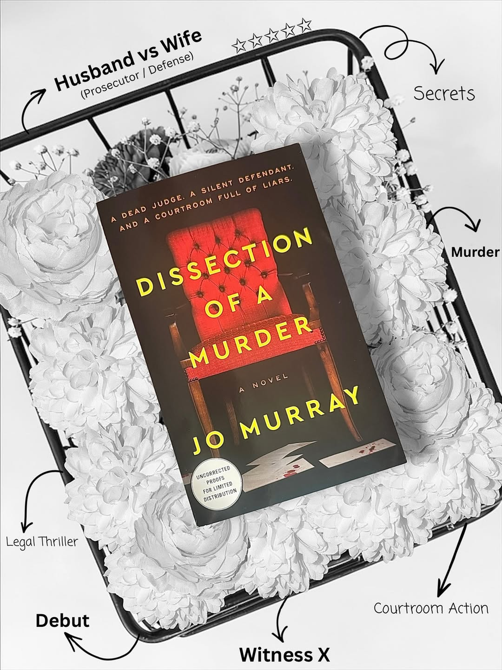 Love legal thrillers with courtroom action? I’ve got a book for you! 