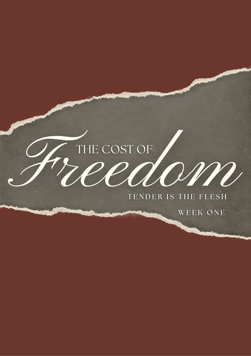 Welcome to THE COST OF FREEDOM!
