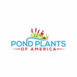 Pond Plants of America