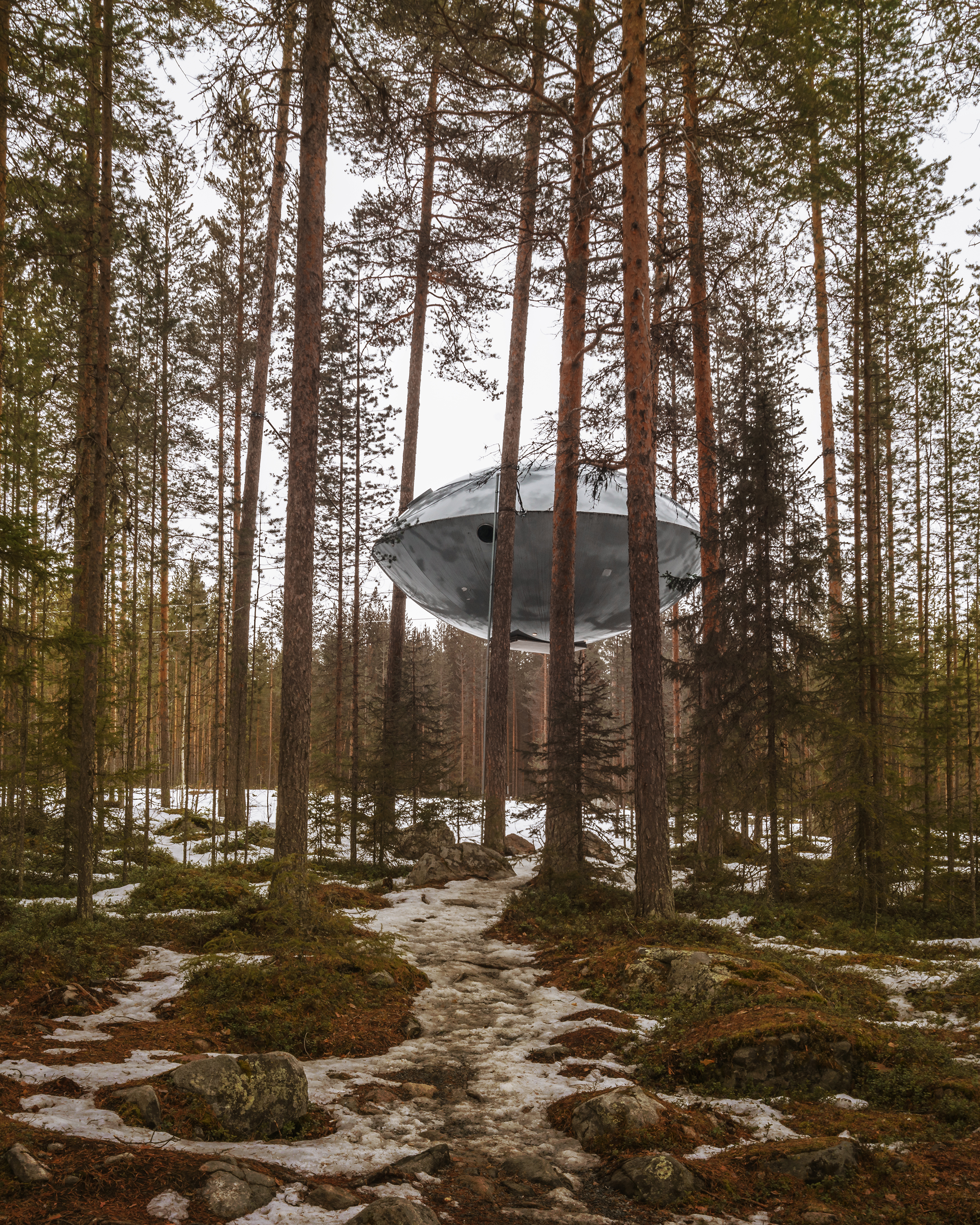 Treehotel-Sweden-Ufo-outside.jpg.jpg