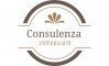 logo Consulenza immobiliare di ugo verra