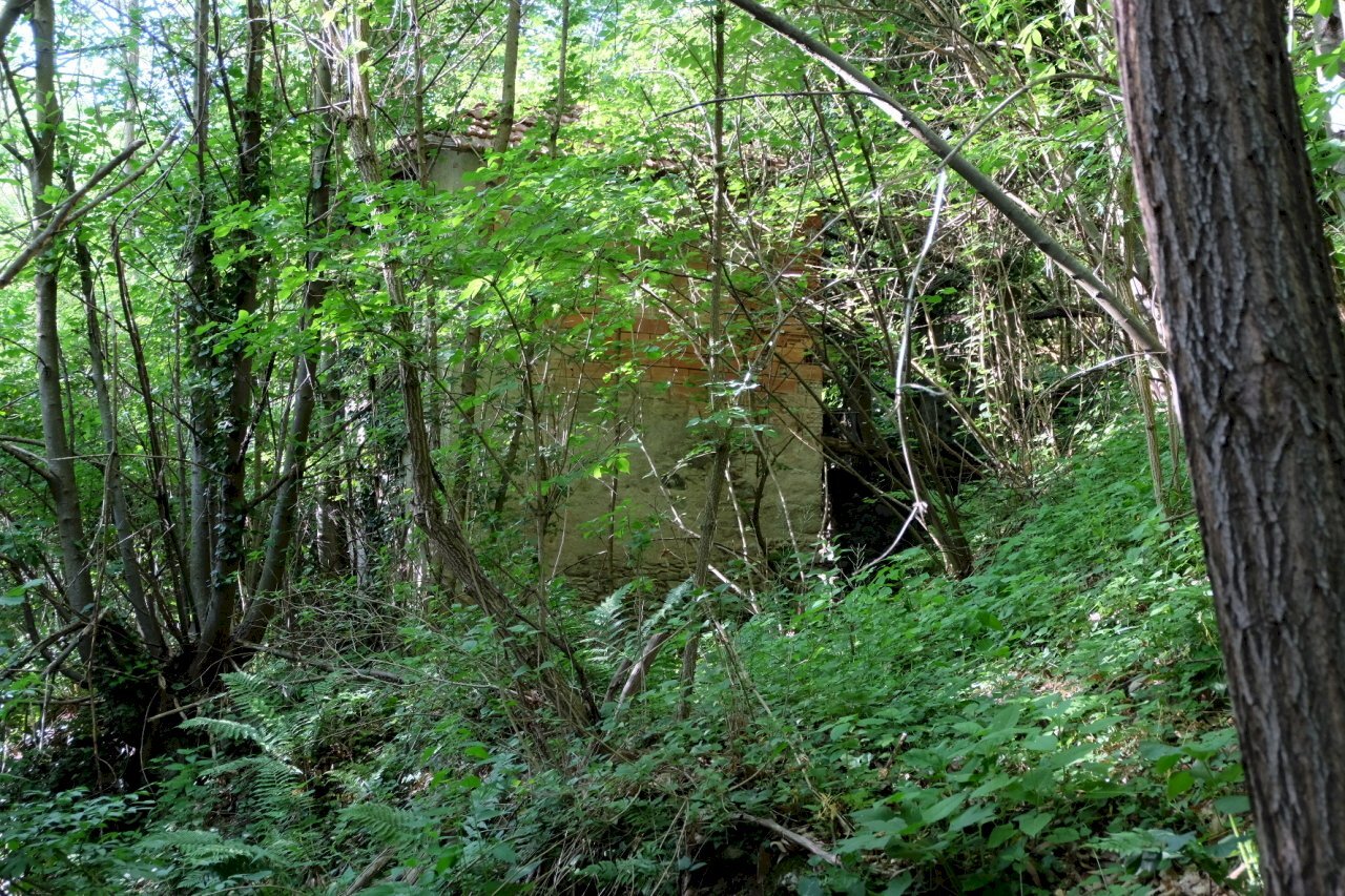 immagine annuncio 10 di 15