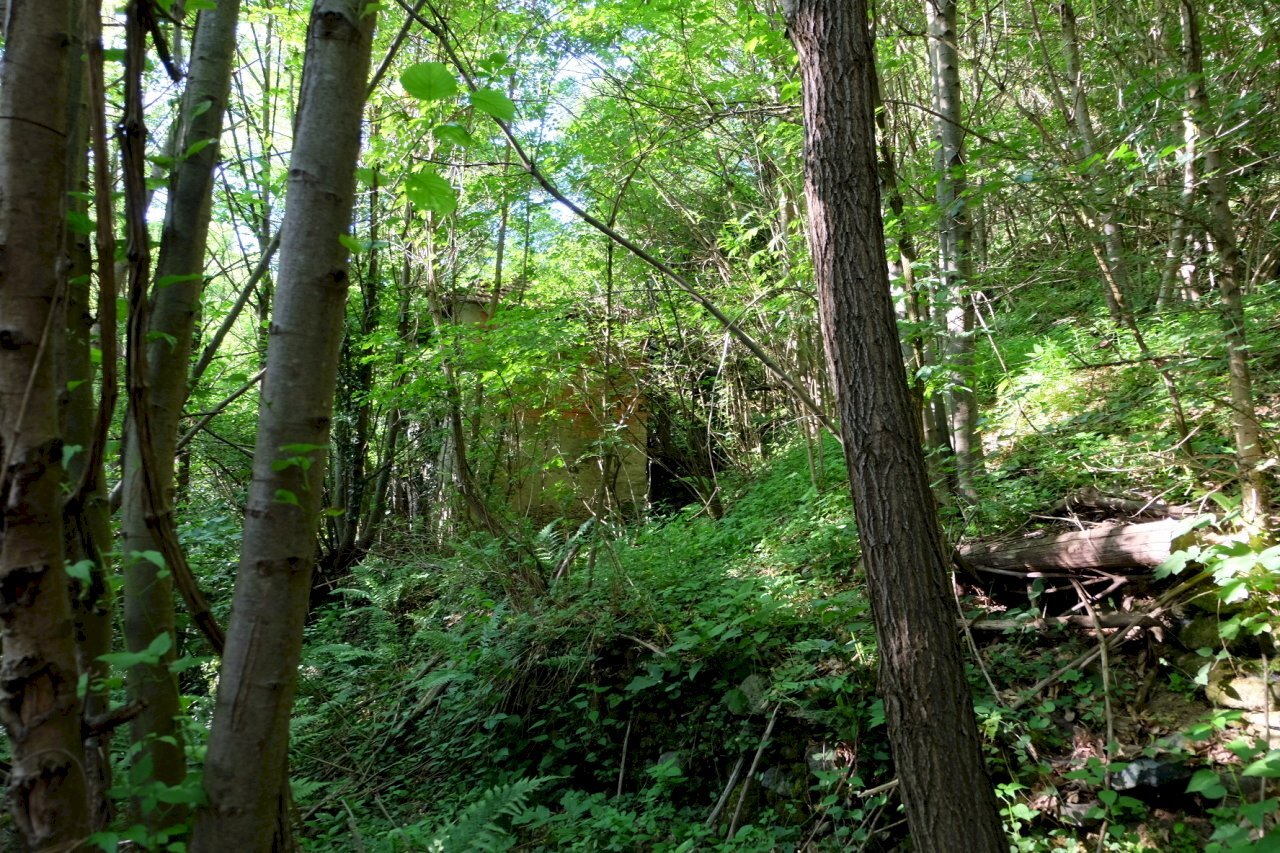 immagine annuncio 14 di 15