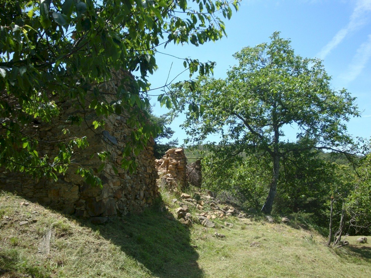 immagine annuncio 9 di 12