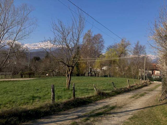 immagine annuncio 2 di 6