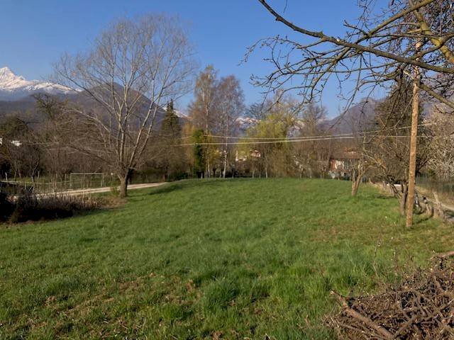 immagine annuncio 4 di 6
