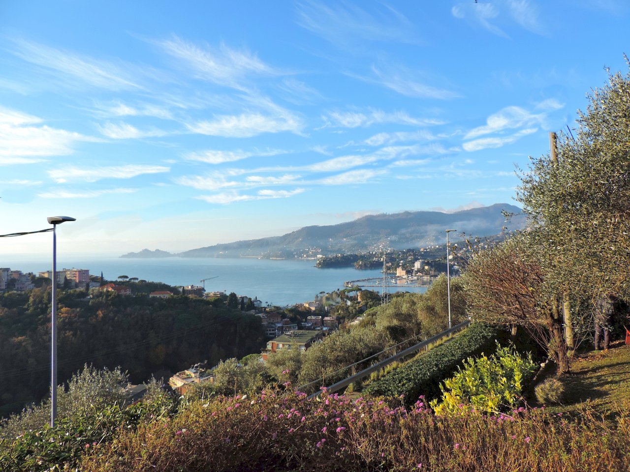 Case - Villa o casa indipendente a Rapallo