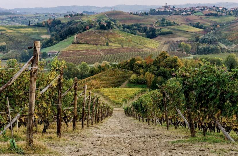 Terreno agricolo in Vendita