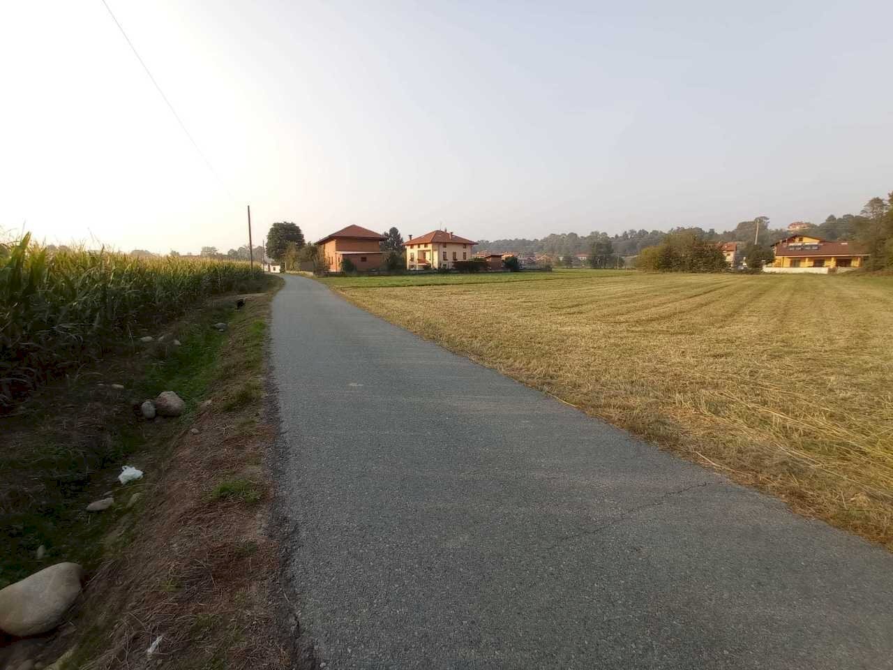 immagine annuncio 3 di 6