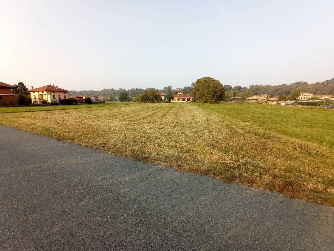 immagine annuncio 4 di 6