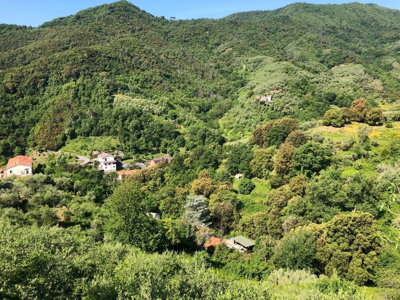 Agricolo - Area verde a Leivi