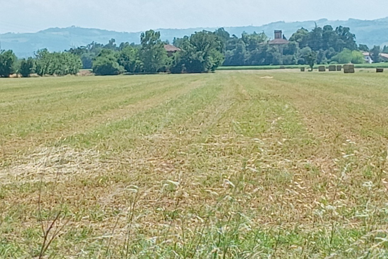 Vendita Terreno residenziale Castelnuovo Rangone