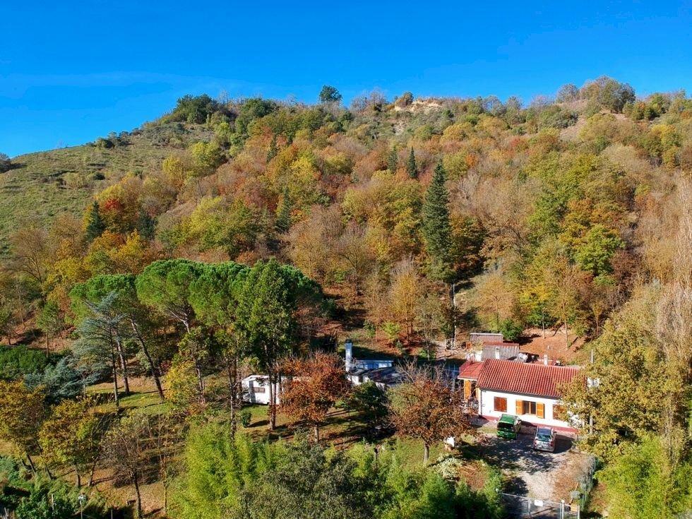 Rif. V936 - Riolo Terme – Casa indipendente con dependance, servizi, giardino e bosco
