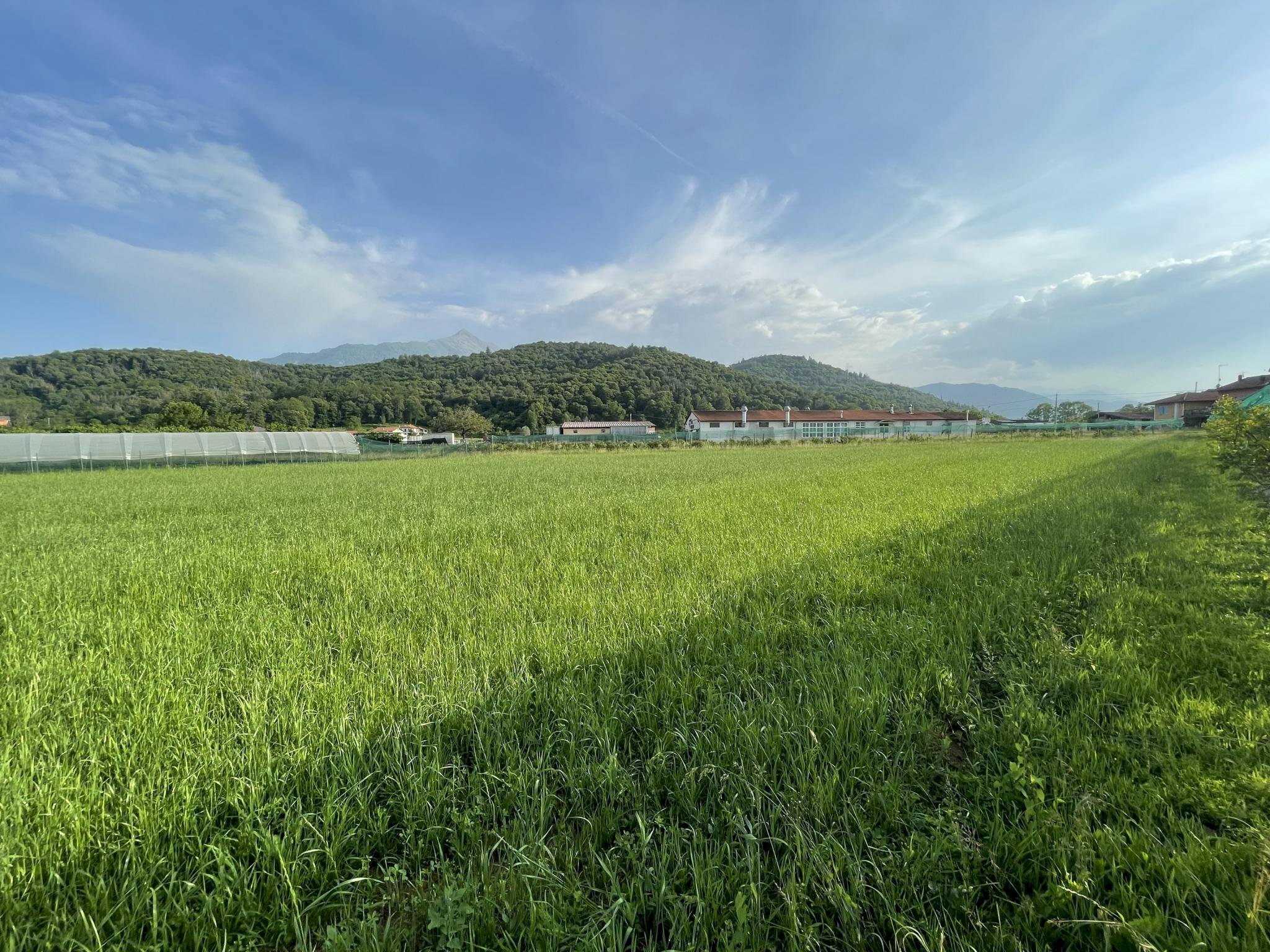 Vendita Terreno residenziale Via Cuneo Snc, Peveragno