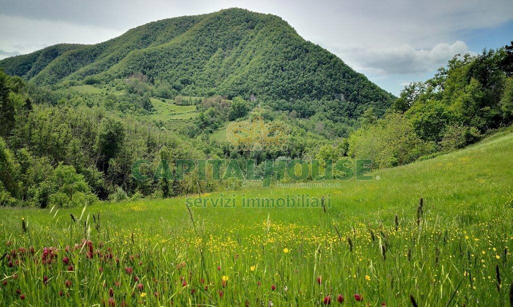 Vendita Terreno agricolo Monzuno