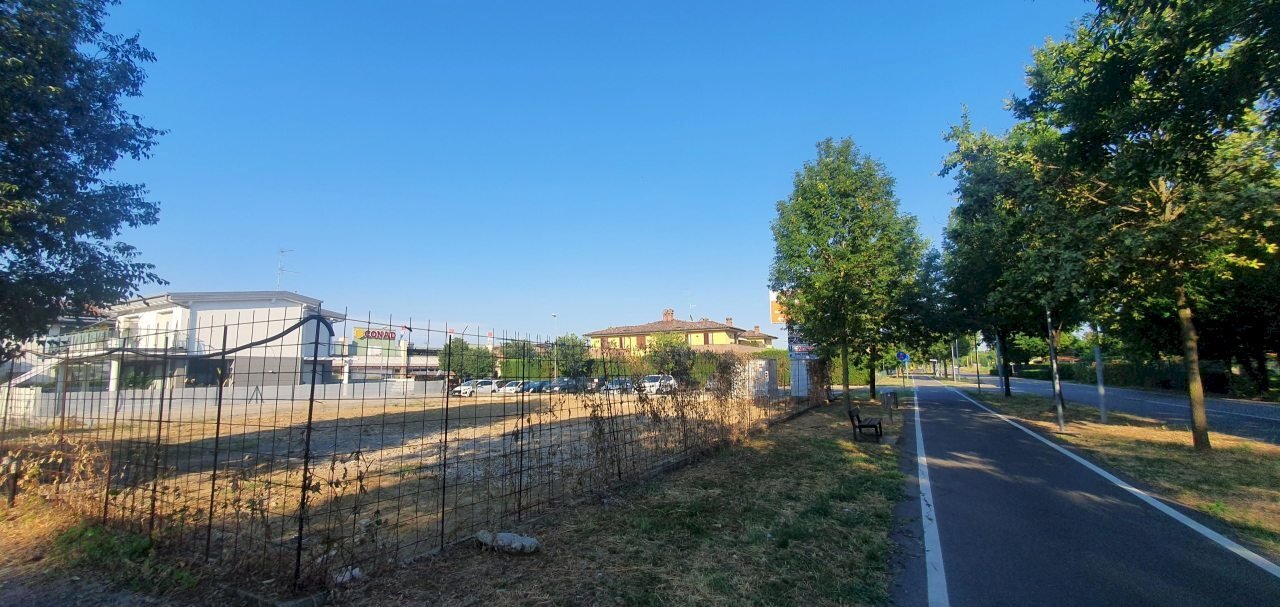 immagine annuncio 3 di 11