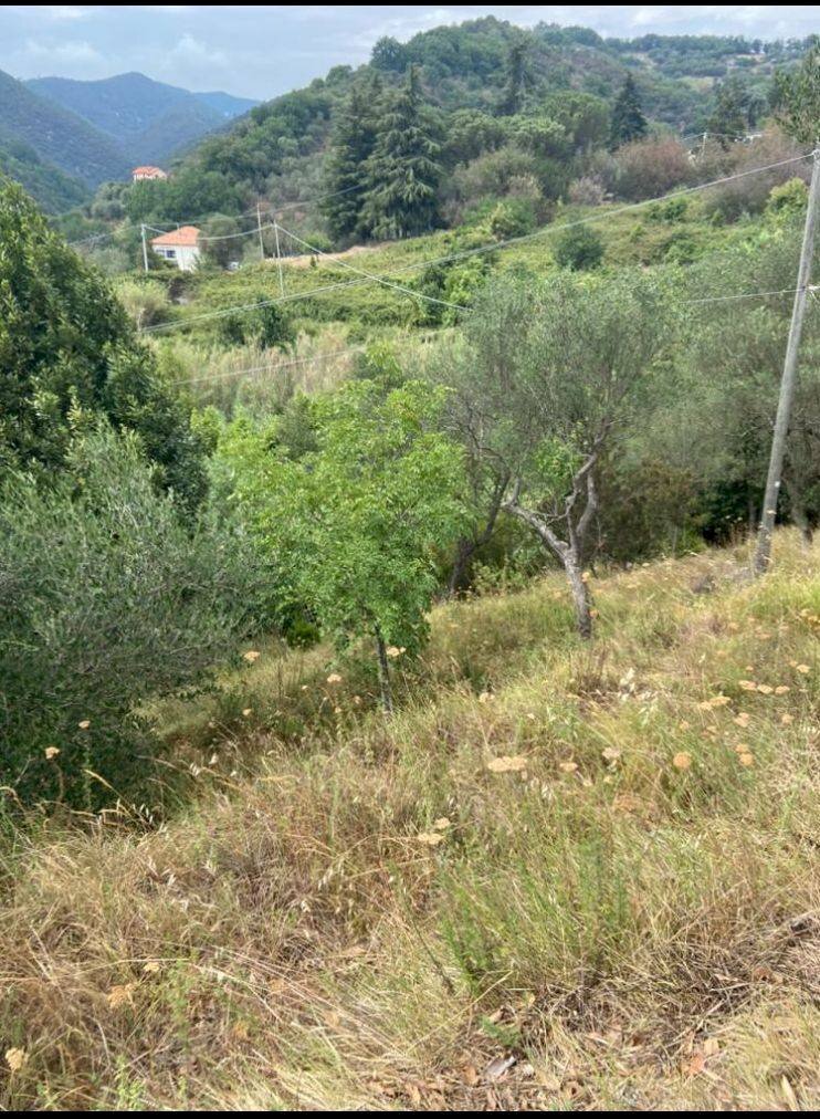 Vendita Terreno agricolo Albisola Superiore