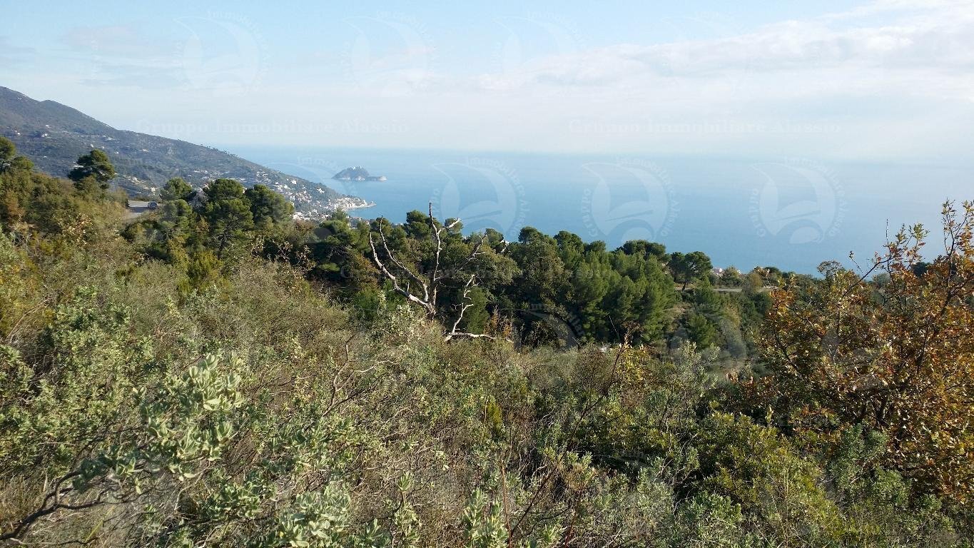 Vendita Terreno agricolo Alassio