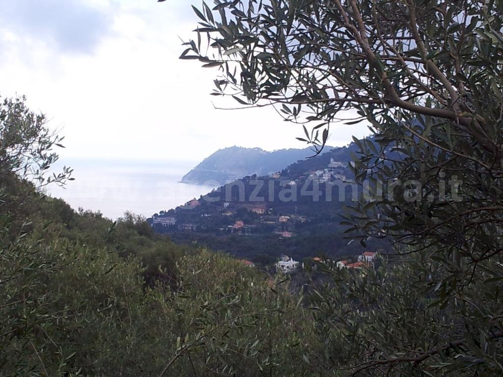 Vendita Terreno agricolo Alassio