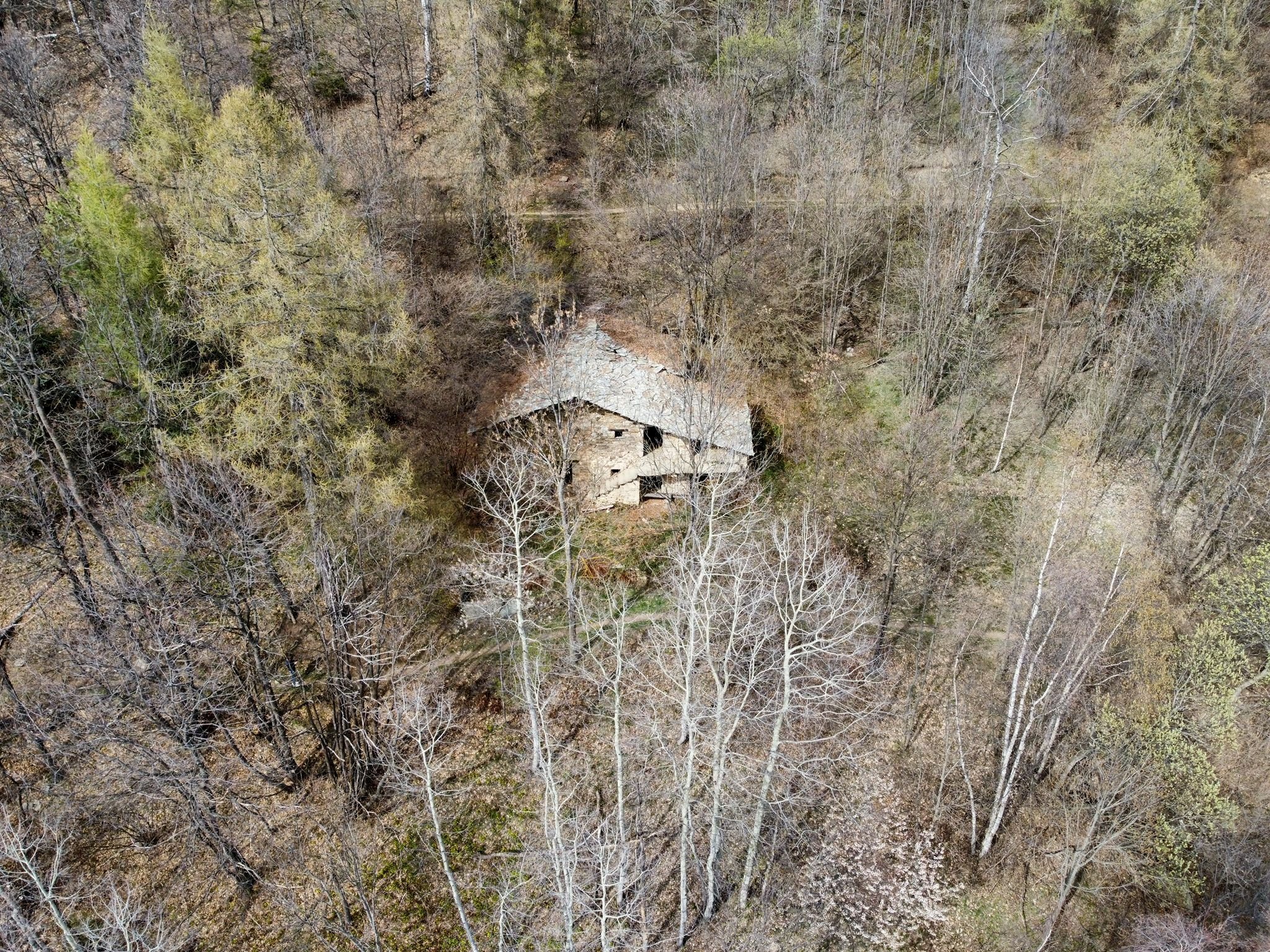 Vendita Rustico Località Santuario Della Betulla, Melle