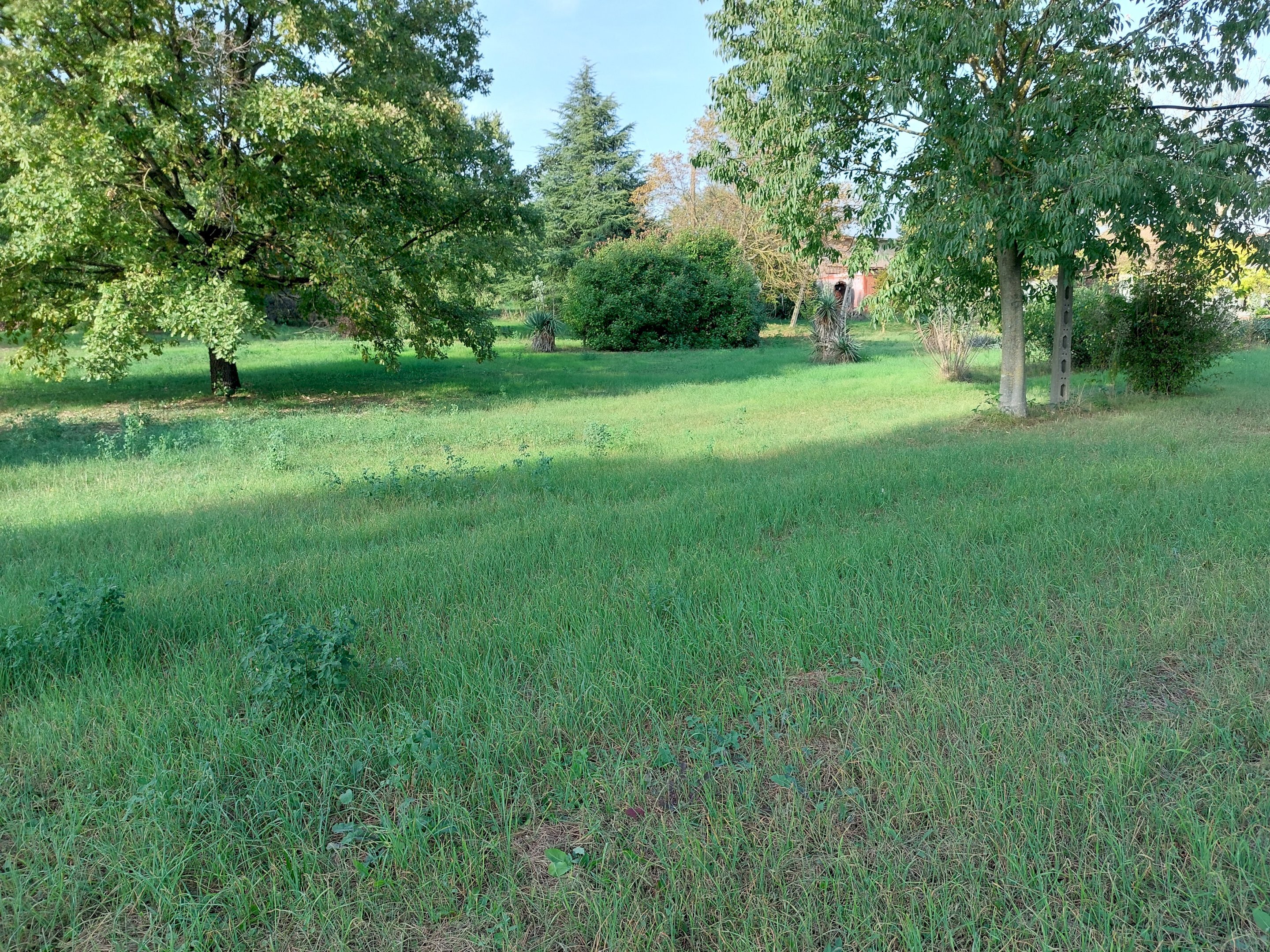 immagine annuncio 6 di 11