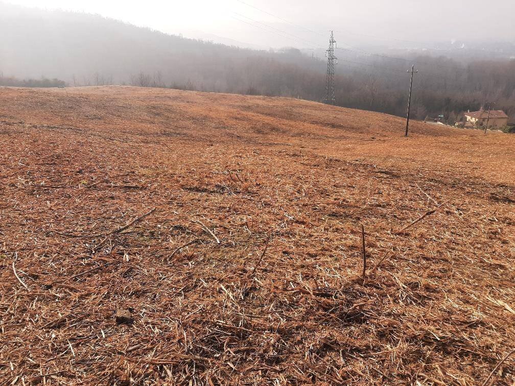 Vendesi terreno agricolo a Bologna