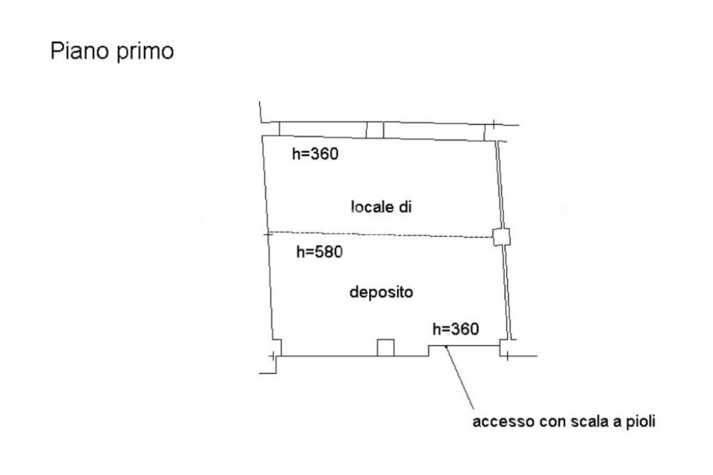 immagine annuncio 10 di 12