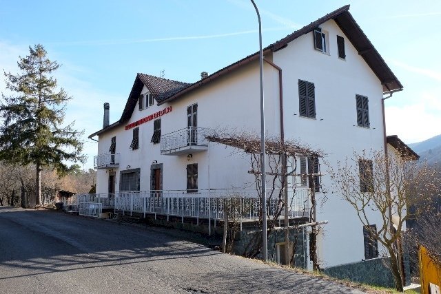 immagine annuncio 1 di 13