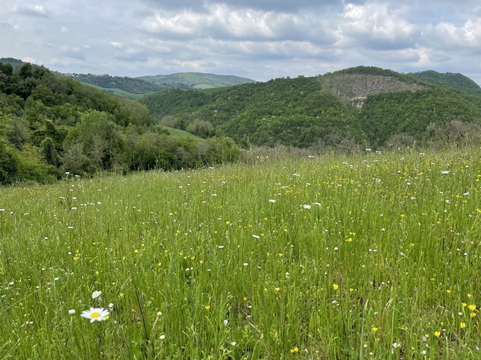 Rif. V985 - Terreni agricoli con seminativo, bosco e castagneto