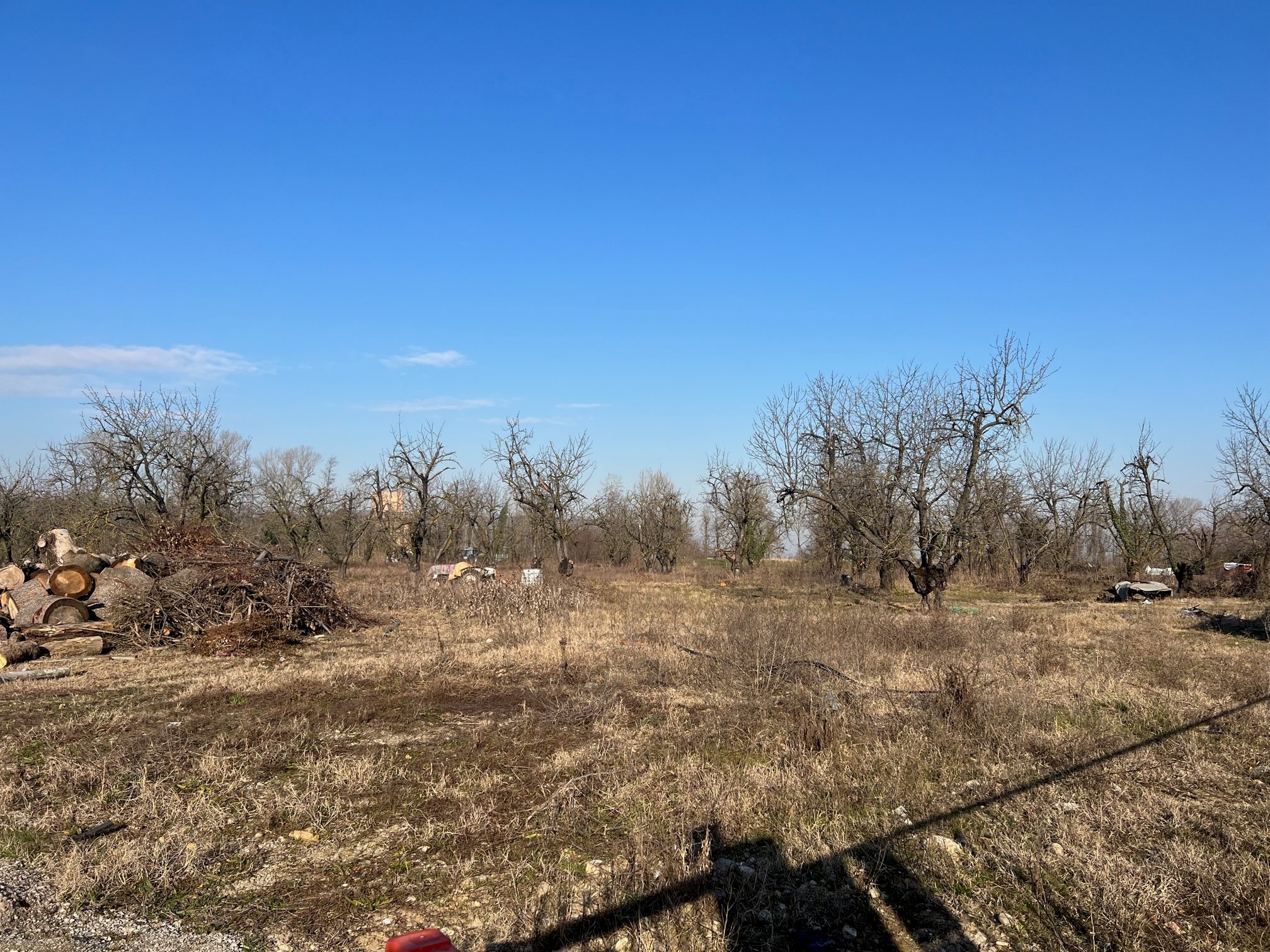 Terreno agricolo