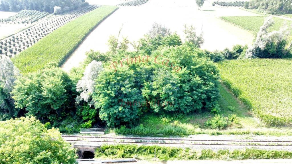 LOTTO DI TERRENO AGRICOLO A 2 KM DAL CENTRO PAESE