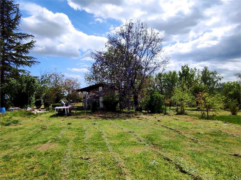 Terreno Agricolo In Vendita a Alessandria