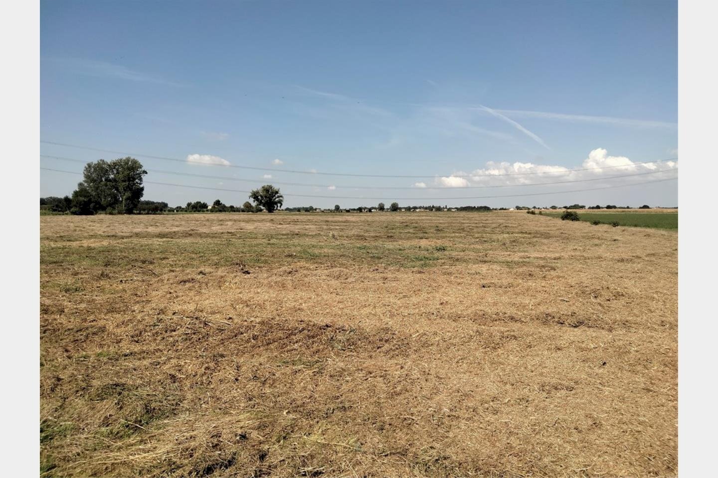 Vendita Terreno agricolo Ravenna