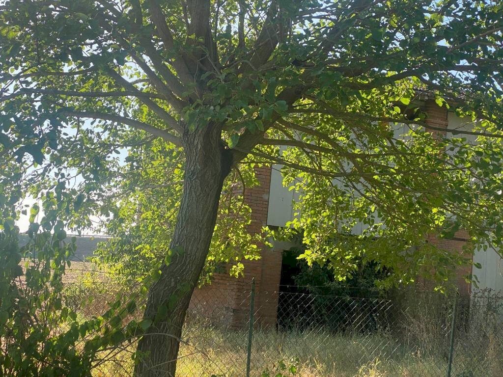 immagine annuncio 4 di 7