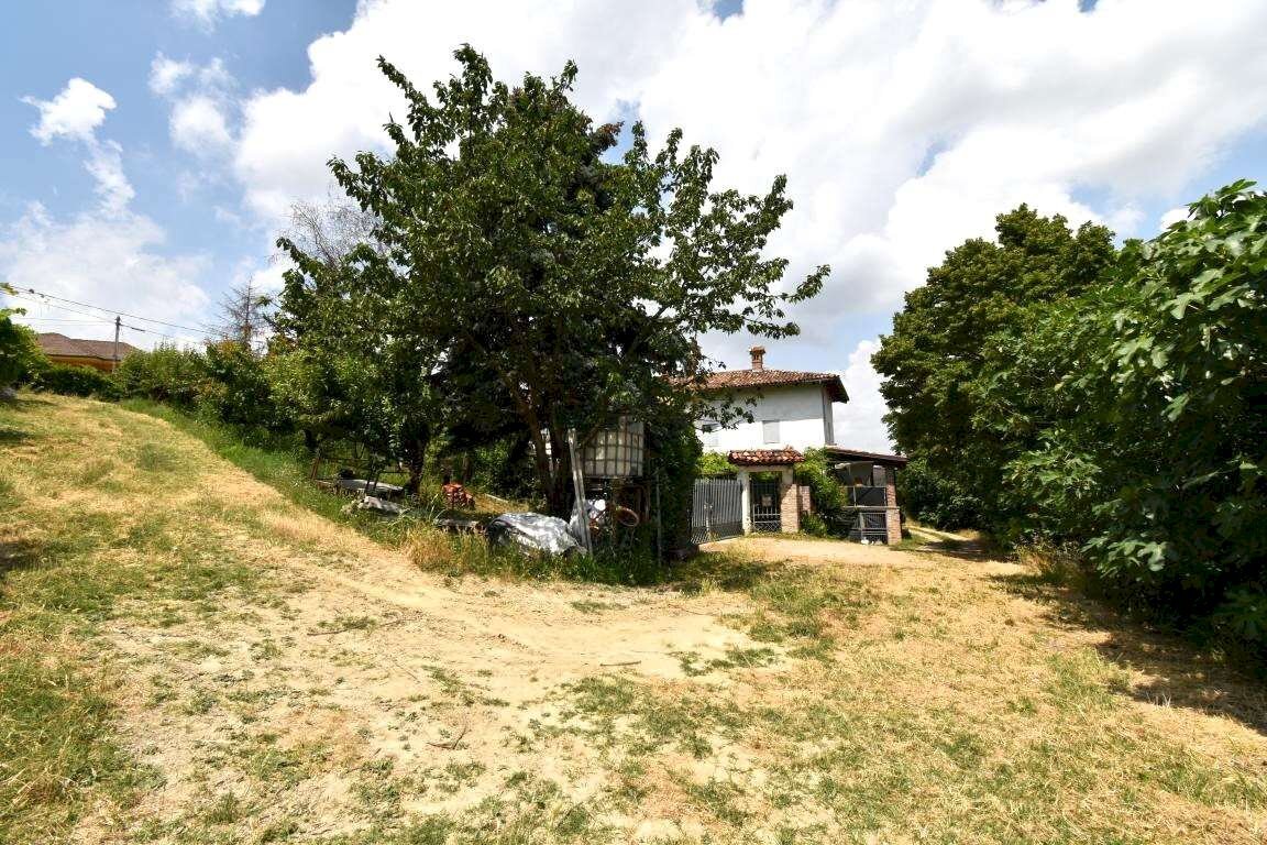 immagine annuncio 3 di 7