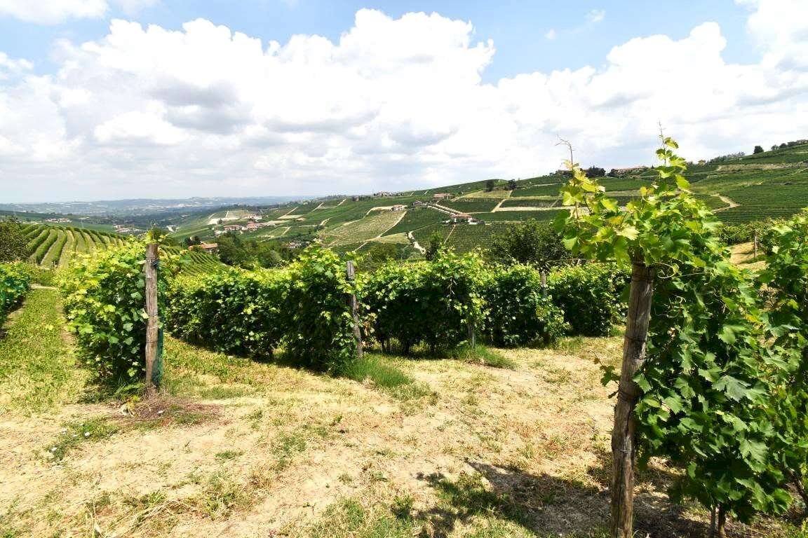 immagine annuncio 4 di 7